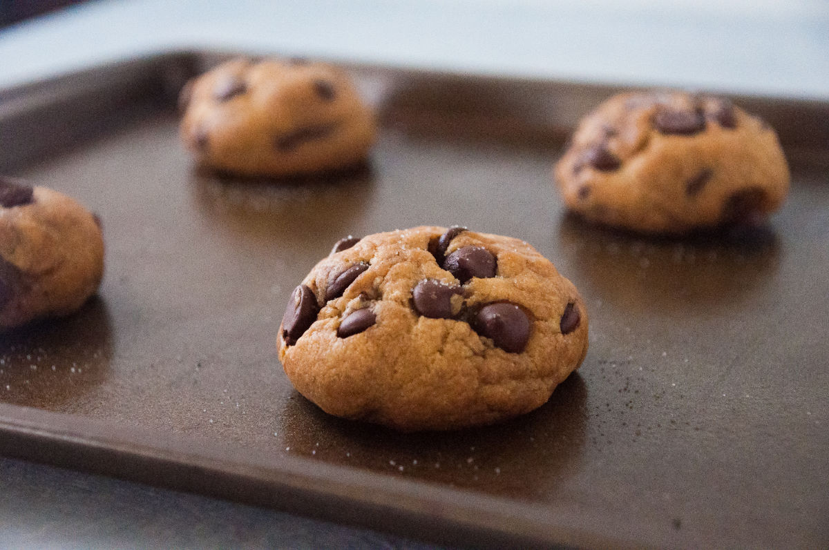 Baked chocolate chip cookies on a cookie sheet