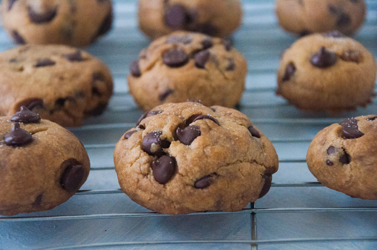Baked chocolate chip cookies on a cooling rack