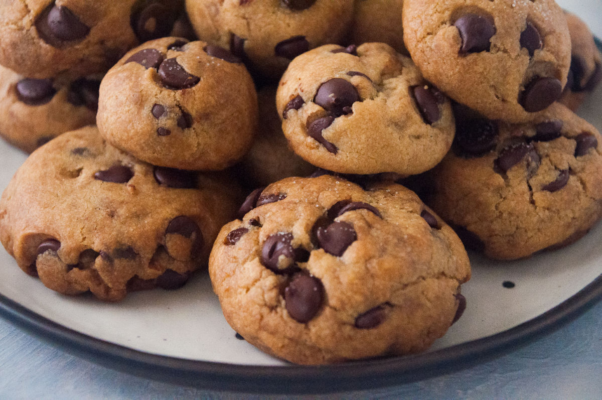 Close-up of baked chocolate chip cookies on a plate